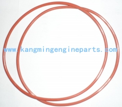 CQ Chongqing engine parts NTA855 3019116 seal, o ring 148293