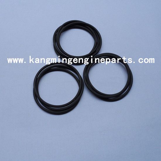 China CCEC engine parts K series seal o ring 205216