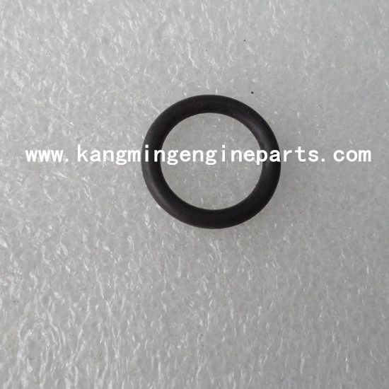 High quality engine parts marine spare parts KTA19 seal o ring 3201125