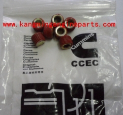 CCEC engine parts 3002158 plug, pipe KTTA50