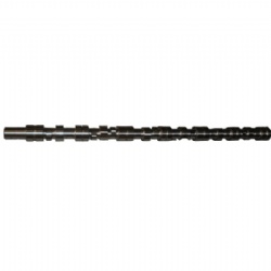 Ccec kta19 diesel engine parts 3066882 camshaft