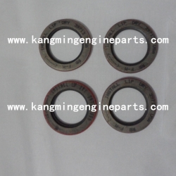 CCEC Chongqing engine parts 3065830 seal, oil
