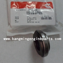 Engine parts KTA19 parts 3081081 rotator, valve