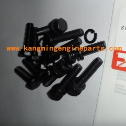 CCEC engine parts 3070962 screw, hexagon head cap