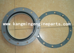 xian engine parts M11 3883620 seal oil