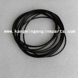 Genuine KTTA19 engine parts 4922501 seal o ring KTA19