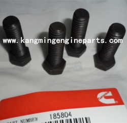 CCEC engine parts KTA19 185804 SCREW HEXAGON HEAD CAP