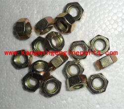 China supplier engine parts 3165936 Nut Regular Hexagon