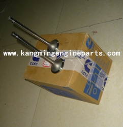 Chongqing engine parts 207241 valve intake KTA19