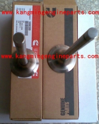 Genuine Chongqing engine parts 3052820 valve intake KTA19