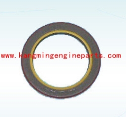 China CCEC engine parts KTA19 engine parts 3016789 seal oil