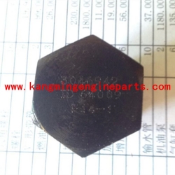 Chongqing engine parts 3046942 plug threaded K19