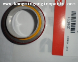 engine parts oil seal 3016791 KTA19 marine engine parts