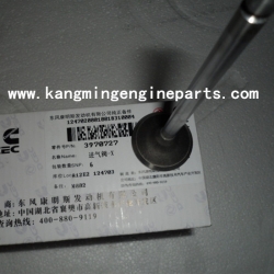 dongfeng engine parts auto parts 3970727 valve intake