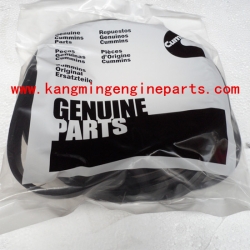 Chongqing engine parts KTA19 seal oil 3081489