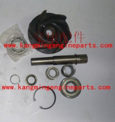 Chongqing engine parts kta38 repair kit water pump 3803283