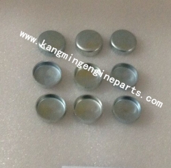 Engine parts 6ct8.3 plug expansion 156075 in China