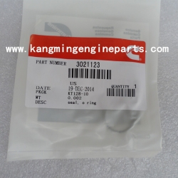 CCEC engine parts K series seal o ring 3021123 in China