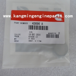 Engine parts KTA50 KTA38 seal o ring 43696 A