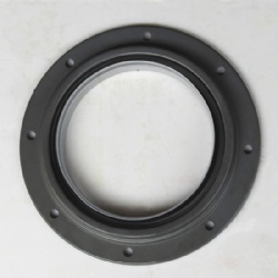 For Chongqing engine parts KTA19 crankshaft seal oil 3005885 3870890