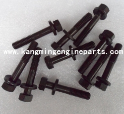 Engine parts screw 3040837 k19 construction machinery parts