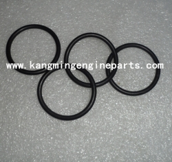 Engine parts motor parts KTTA50 seal o ring 3175545