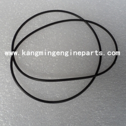 Engine parts 3000859 seal o ring KTA19 Construction Equipment parts