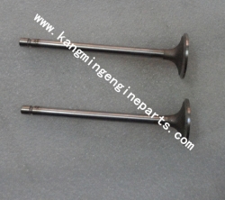 Dongfeng engine parts tractor spare parts 4981794 intake valve