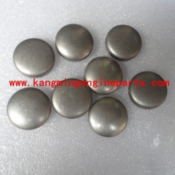 Original Xi'an engine parts spares M11 plug expansion 3007635