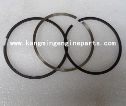 China Foton engine parts ISF 3.8 engine ring oil piston 3932520