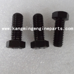 Engine parts  K19 screw hexagon head cap S 178C