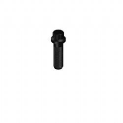 Ccec 153581 nta855 diesel engine Twelve Point Cap Screw