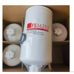 燃油滤芯 FS36253 5310808卡车柴油发动机配件