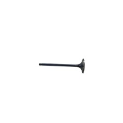 ISG Exhaust Valve 3697156 Diesel Engine Parts for Heavy Truck