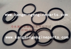 XCEC engine parts L10 145504 seal, o ring