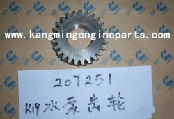 CCEC engine parts K19 part 207251 gear, water pump